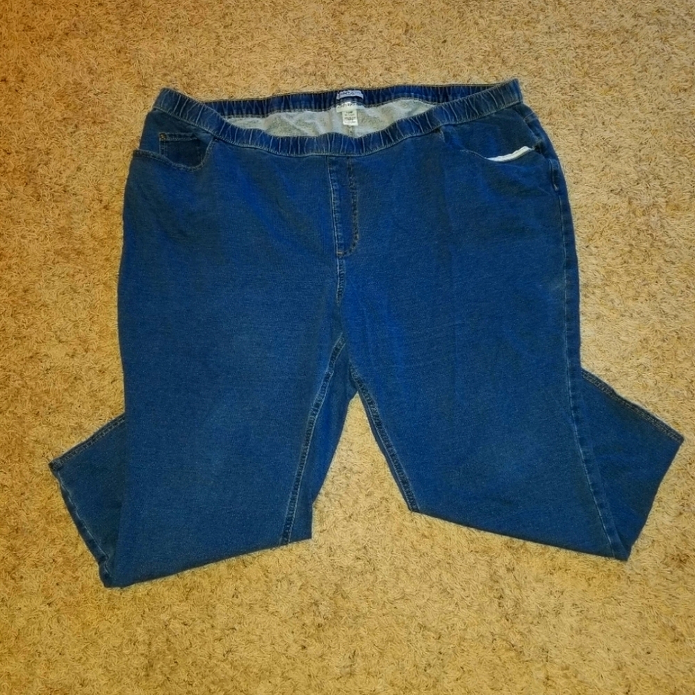 Catherine's Full Length Blue Jeans